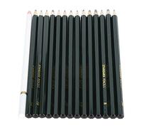 Stylebest Set di Matite per Schizzi 15 Pezzi Matite da Disegno Premium per gli Amanti della Pittura Studenti D'arte Tiglio Grafite 17,5 Cm