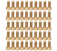Stylebest Set di Viti a Esagono Incassato con Cappuccio da 50 Pezzi, Elementi di Fissaggio in Rame Durevoli per Uso Industriale, Dimensioni M6, Forti e Resistenti All'usura (M6*14mm)