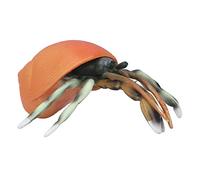 Stylebest Simulazione Modello di Granchio Eremita Realistiche Figurine di Animali di Vita Marina per la Collezione di Giochi Educativi 1 unità in PVC