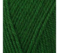 Stylecraft 9037045 - Filato speciale Aran con lana di pino (7045), 400 g