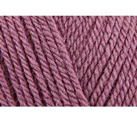 Stylecraft - Filato speciale DK per uncinetto, 100% doppia lana per giocattoli, coperte, cuscini, maglioni, gomitoli da 100 g, uva (1067), confezione da 3, ottieni 2 gomitoli in omaggio = 5 gomitoli