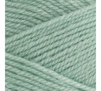 Stylecraft Life DK Filato In Lana A Doppio Ritorto 100G - 2342 Menta