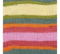 Stylecraft Merry go Round DK Filato 100g In Lana Double Knitting