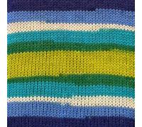 Stylecraft Merry go Round DK Filato 100g In Lana Double Knitting