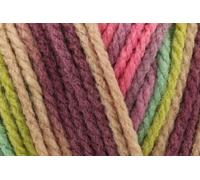 Stylecraft Merry Go Round Filato Chunky Da Maglieria 100G