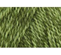 Stylecraft Special DK - Filato all'uncinetto, morbido, 100% lana doppia, per giocattoli, coperte, cuscini, ponticelli, palline da 100 g, Greengage (1124), singolo (1 gomitolo)