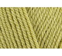 Stylecraft Special DK - Filato all'uncinetto, morbido 100% lana doppia, per maglioni, giocattoli, coperte, federe per cuscini, palline da 100 g, pistacchio (1822), singolo (1 gomitolo)