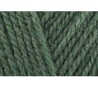 Stylecraft Speciale Aran con Lana Lavoro a Maglia Filato 3980 Succulente