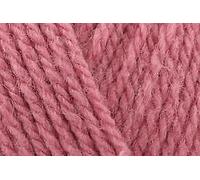 Stylecraft Speciale Aran con Lana Lavoro a Maglia Filato 400g 1066 Rosa Canina