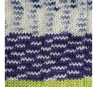 Stylecraft Testa più Di Tacchi Camminando IN Natura 4ply Calzino Lana / Filo