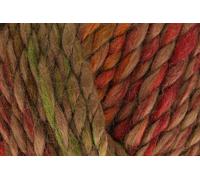 Stylecraft That Colour Vibe Chunky Merino Lana/Gomitolo 100g