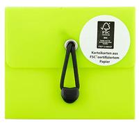 Stylex 49101 Scatola DIN A8, con 5 Scomparti di Cui 100 schede a Righe FSC, in 6, per ripetere e praticare vocabolario Nuovo e Vecchio, Articoli Assortiti, Verde