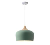 Stylish Bohemian Ceiling Chandelier, Elegant Creative Pendant Lights, Fashionable Personalized Hanging Lamp, Minimalist Nordic Lighting Fixture for Kitchen, Bedroom, Dining Room, Restaurant(Green)