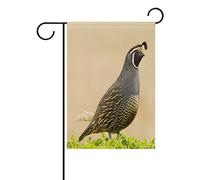 Stylish Cute Phoenix Quail Bandiere Durevole Bandiera Resistente Alle Intemperie Bandiere Verticale Per Portico Balcone Decorazione 30X45Cm