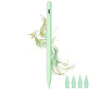 Stylus Pen per iPad 2018 - 2024 - USB C ricarica rapida per iPad Pencil con penna Palm Rejection per iPad compatibile con iPad 6/7/8/9/10th, iPad Air 3/4/5th, iPad Mini 5/6th, iPad Pro 11"/12,9"