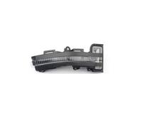 SUAGFW luce segnale dinamica Per C11 2021-2024 Accessori Per Auto Specchietto Retrovisore Luci Posizione Specchietti Laterali Anteriori Luce Direzione luce segnalazione(Giusto)