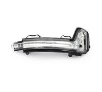 SUAGFW luce segnale dinamica Per VW Per Tiguan L 2016 2017 2018 Luce Posizione Per Auto Portiera Specchietto Retrovisore Indicatore Direzione Luce Laterale luce segnalazione(Giusto)