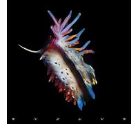 Sub Focus Evolve (CD) Album