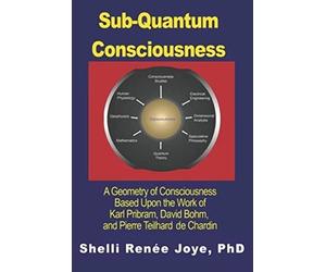 Sub-Quantum Consciousness: A Geometry of Consciousness Based Upon the Work of Karl Pribram, David Bohm, and Pierre Teilhard De Chardin