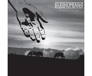 Subhumans From the cradle to the grave (CD) Album Digipak (Limited Edition)