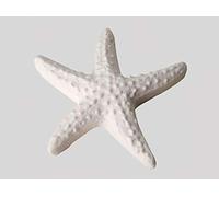 Subitodisponibile Stella Marina 10 PEZZI Gessetto decorazione bomboniera 4 cm