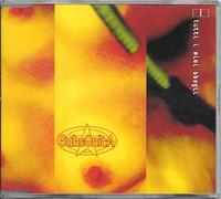 Subsonica - Tutti I Miei Sbagl [Import]