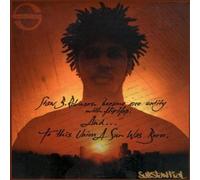 Substantial - To This Union a Sun Was Born