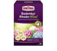 Substral Bodenkur Rhodo-Vital 1 KG Abbassa Ph Ortensie, Eriken, Azalleen