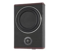 Subwoofer per auto full-range da 8 pollici Stereo per auto ultra sottile sotto il sedile Audio attivo Alti Bass Amplificatore incorporato Altoparlante DC 12V 600W
