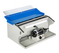 SucceBuy 200W Lucidatrice per gioielli Lucidatrice Collettore di polveri Luce da tavolo per produzione e manutenzione di metalli di gioielli