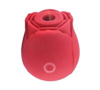 Succhiatore Clitoride Do You Erotic Rosa 10 Modalità Vibrazione IPX7 USB