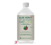 Specchiasol Aloe Vera+ Antiox con Mirtillo Rosso – 1000 ml