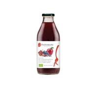 SUCCO BIOLOGICO DI MELOGRANO, MELA, UVA E RIBES NERO GASTRONAUTA 75 ML.