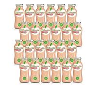 Succo di Frutta Alla Pesca DiFrutta 24 bottiglie da 20 cl.