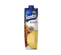 Succo di Frutta Santal Ananas 12 Brick da 1000 ml