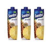 Succo di Frutta Santal Ananas 3 Brick da 1000 ml
