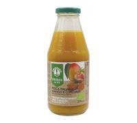 SUCCO PESCA ITALIANA MANGO CURCUMA-PROBIOS