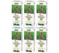 Succo vegetale fresco biologico di timo salus - 200 ml (confezione da 6)