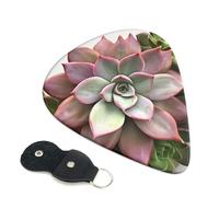 Succulent Botanical - Confezione da 6 plettri per chitarra con porta plettro in pelle, portachiavi, custodia per plettri, arte astratta, per chitarra elettrica acustica, ukulele, 0,71 mm