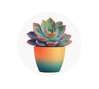 Succulente sui magneti magnetici rotondi variopinti del frigorifero del vaso per il bene durevole della cucina con magnetismo duraturo