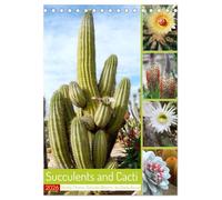 Succulents and Cacti - Strong Thorns, Delicate Blooms (Desk Calendar 2026 DIN A5 portrait), CALVENDO 12 Month DeskCalendar: A look at the beauty of thorny sun worshippers