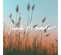 Such Hounds - I Hate Summer