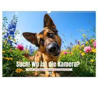 Such Wo ist die Kamera? (Wandkalender 2027 DIN A3 quer), CALVENDO Monatskalende