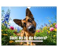 Such Wo ist die Kamera? (Wandkalender 2027 DIN A4 quer), CALVENDO Monatskalende
