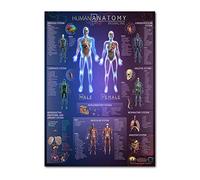 SUCHUANGUANG Set di Poster anatomici Laminato - Poster Muscolare, Scheletrico, digestivo, respiratorio 9#