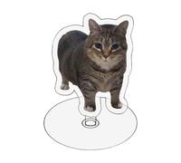 Sucritude Ornamento Gatto Spin Acrilico - 2D Ornamento Da Scrivania Gatto Acrilico Trasparente | Decorazione Casa Divertente E Ricercata,Per La Camera Da Letto E Il Soggiorno