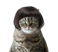 Sucritude Parrucca Per Gatti - Regolabile Capelli Finti Per Feste Con Frangia | Parrucca Cosplay Per Cani - Per Halloween, Per Le Celebrazioni, Per La Fotografia Delle Feste, Per La Decorazione E Per