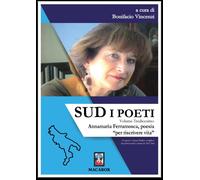 Sud. I poeti. Vol. 13 - Vincenzi B. (cur.)