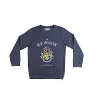 Felpa in pile Harry Potter - Hogwarts Crest Sweatshirt maglione Boy Cerdà