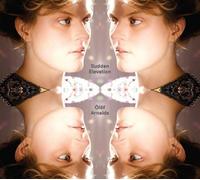 Sudden Elevation by Olof Arnalds (2013-03-05)